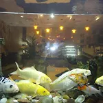 Royal Suite Hotel Apartments